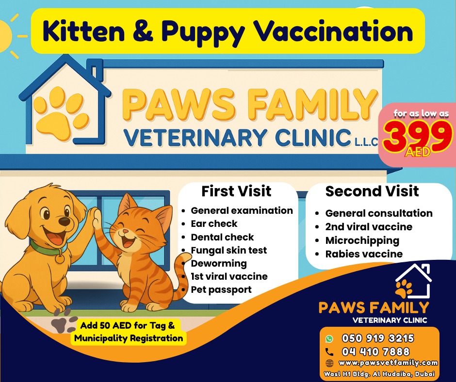 Kitten & Puppy Vaccination offer