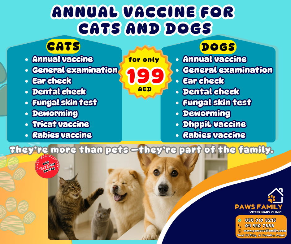 annual vaccine