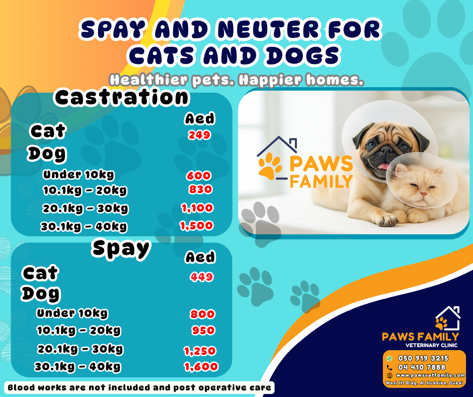 spay and neuter