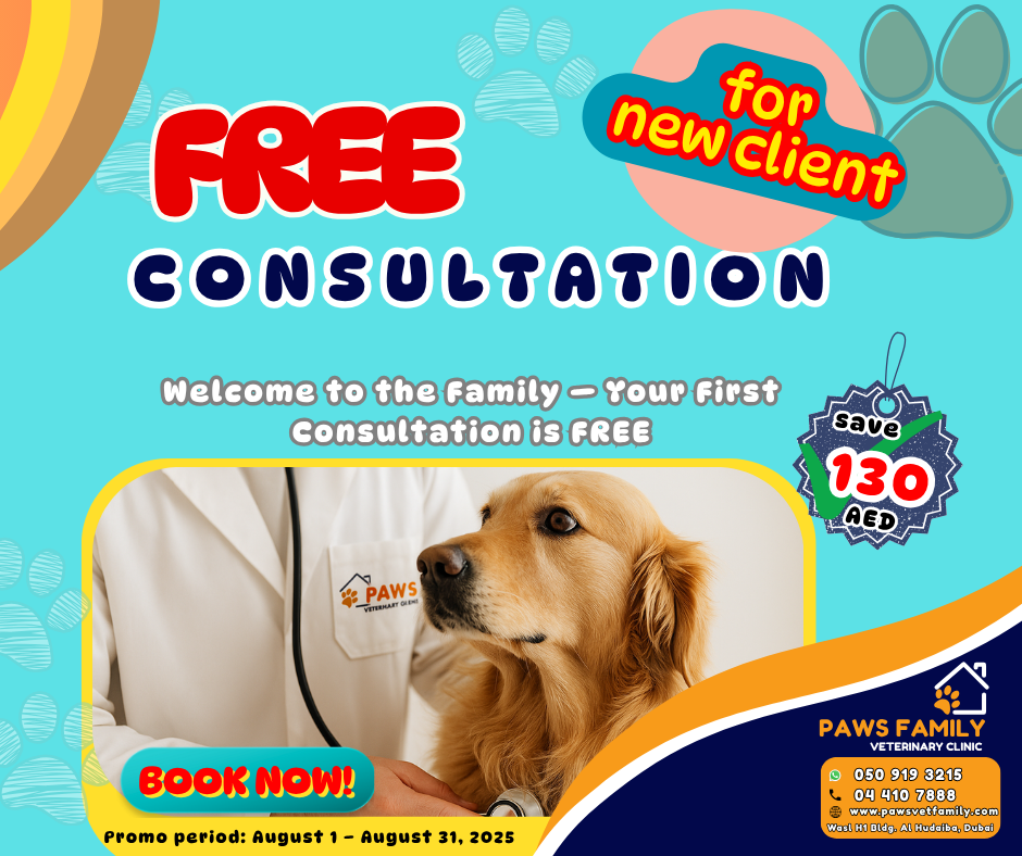 free consultation